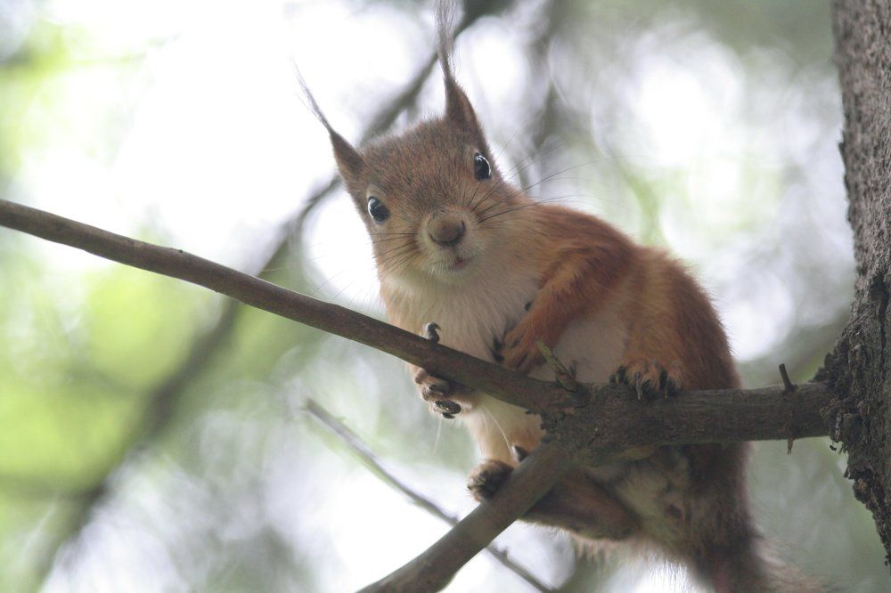 - Это Вы меня ?