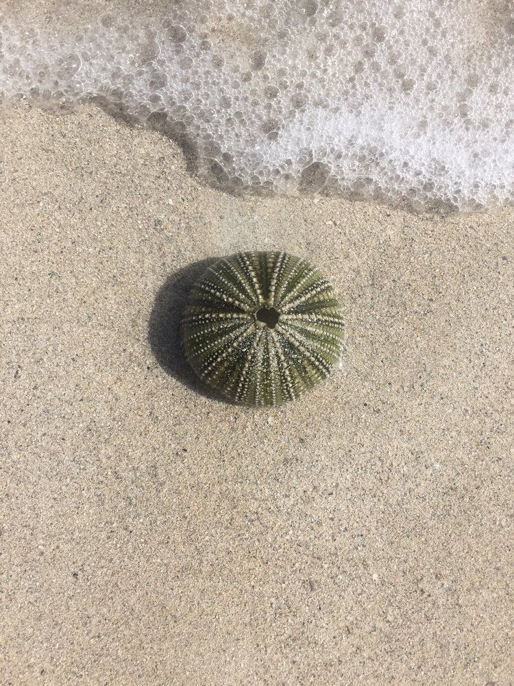 Just another day at the beach