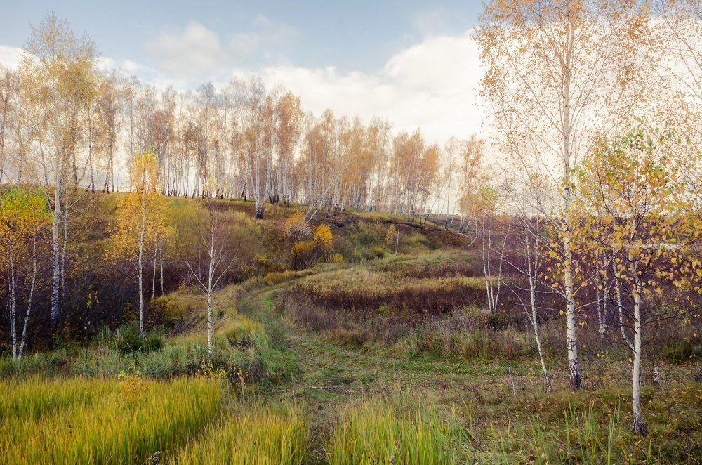 Пришвинская осень...