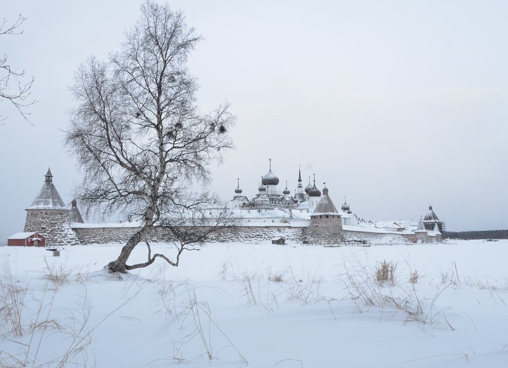 Зимнее утро на Соловках