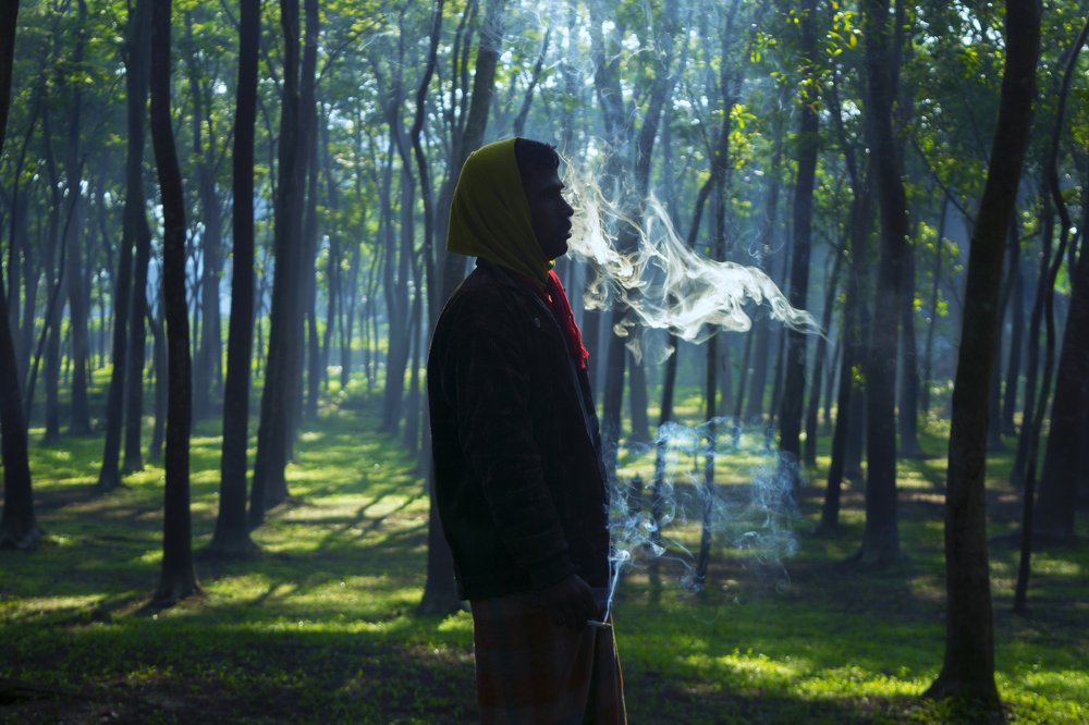 Smoking Causes Cancer