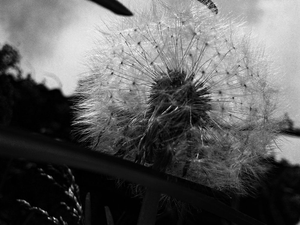 К полету готов!