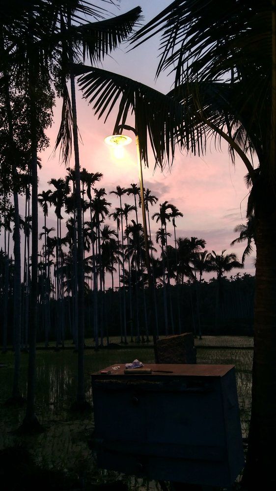 Evening time capture