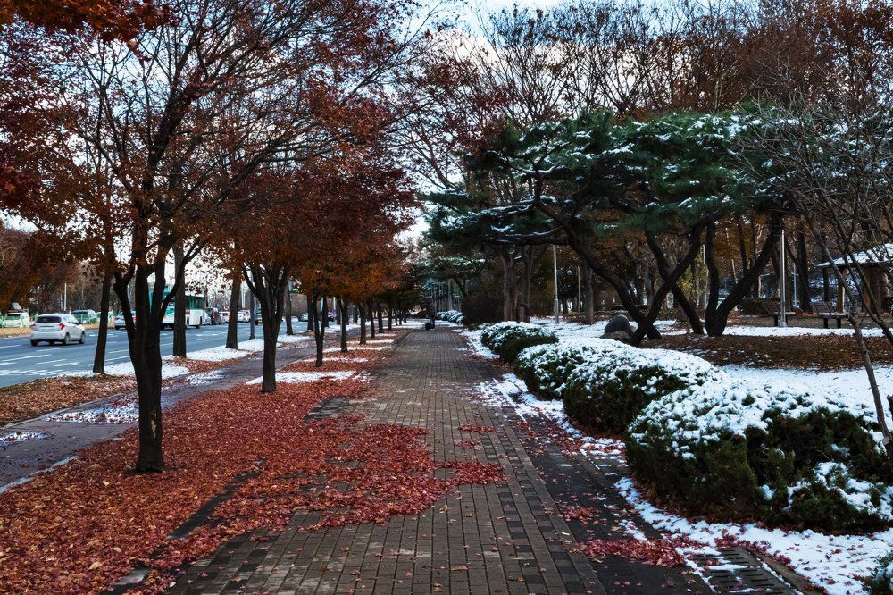 Photograph by San Cher