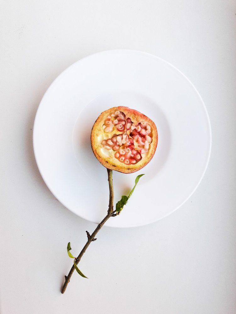 Скелет граната