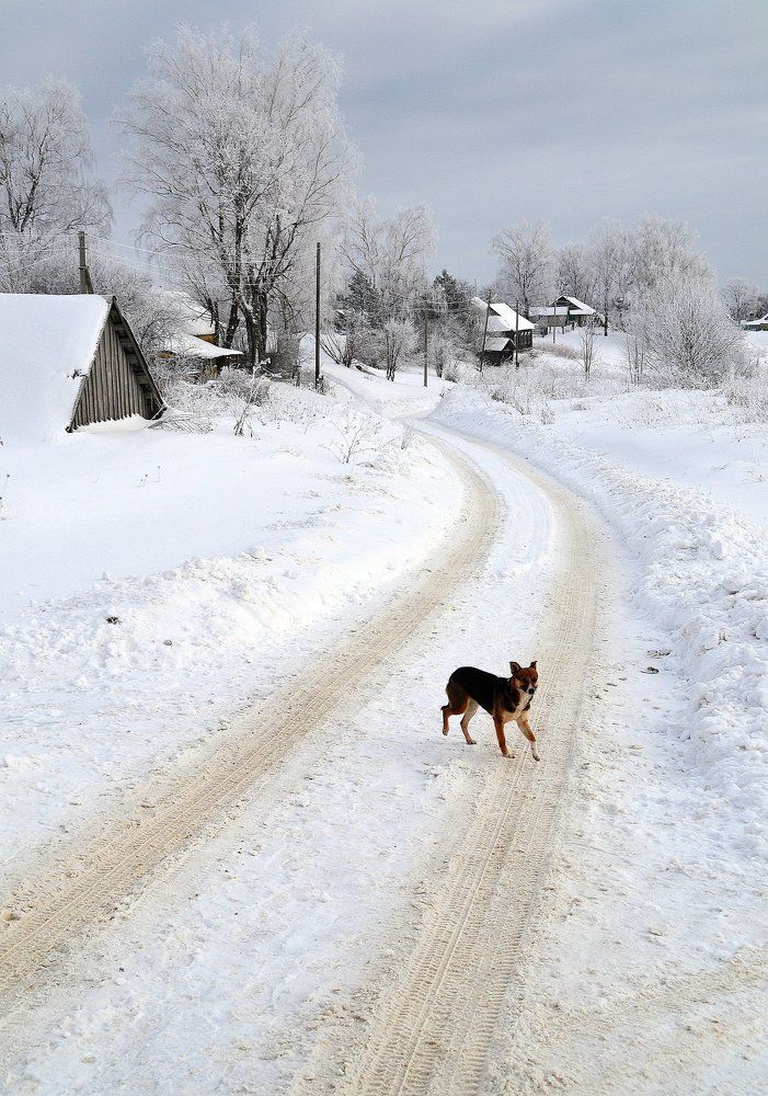 Встреча на дороге