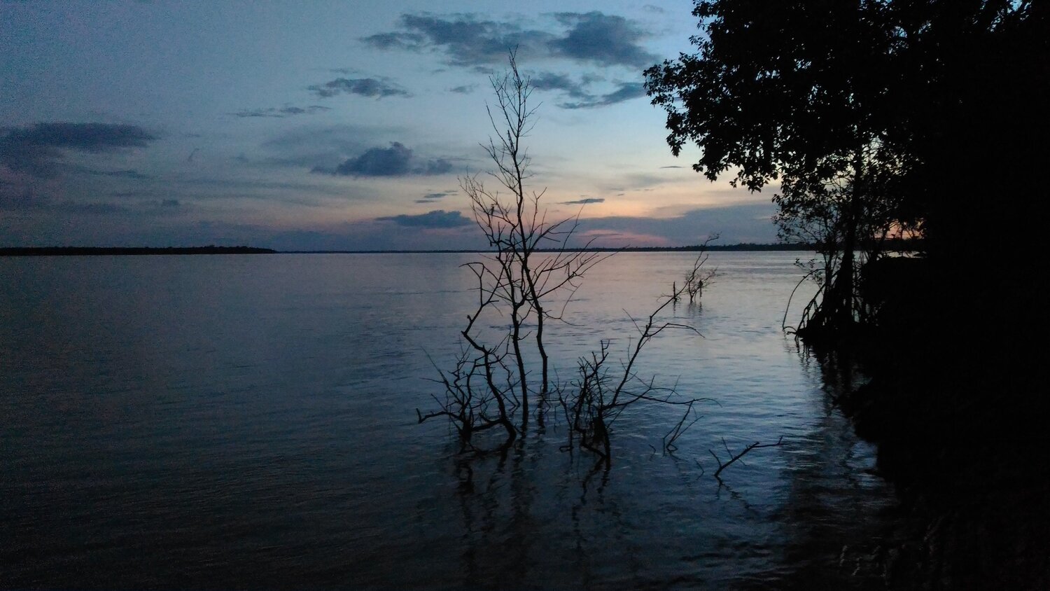 Twilight
