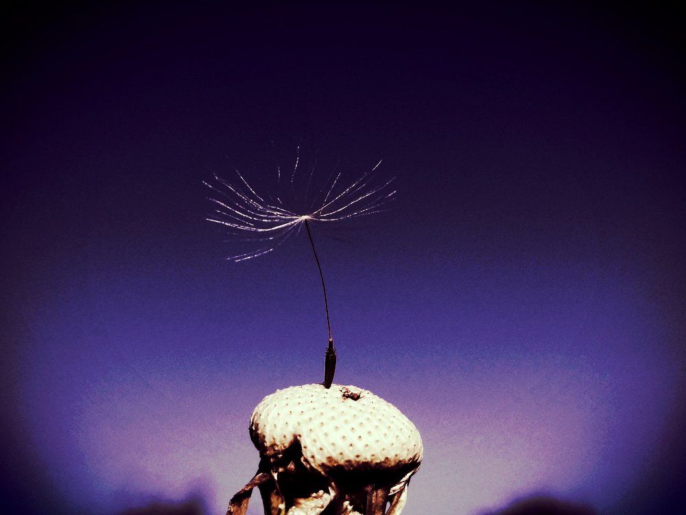 Photograph by Стефанова Татьяна