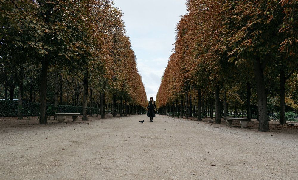 Окрылённая