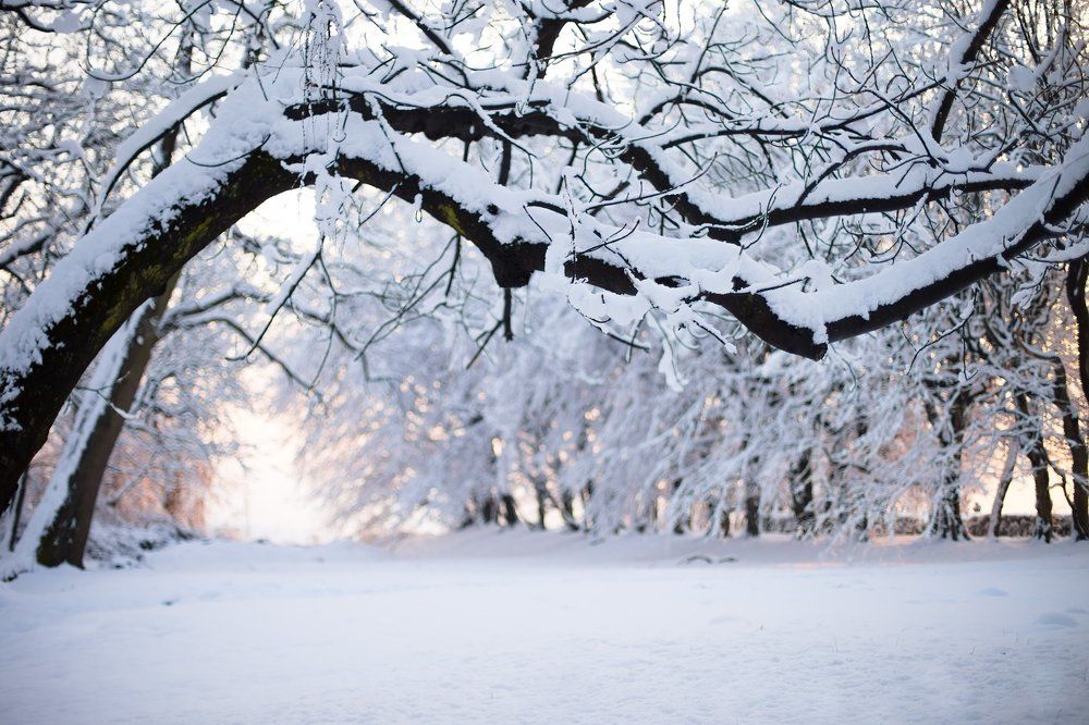 Photograph by Ольга