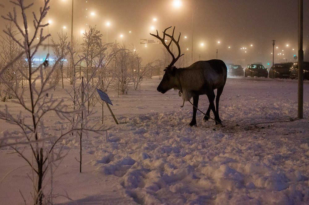 Инконгруэнтность