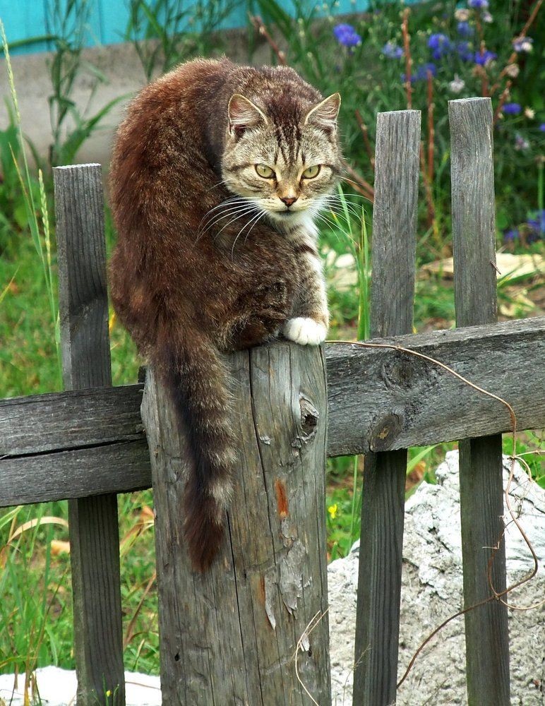 Н - Недоверие