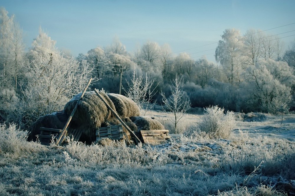 Зимний рацион