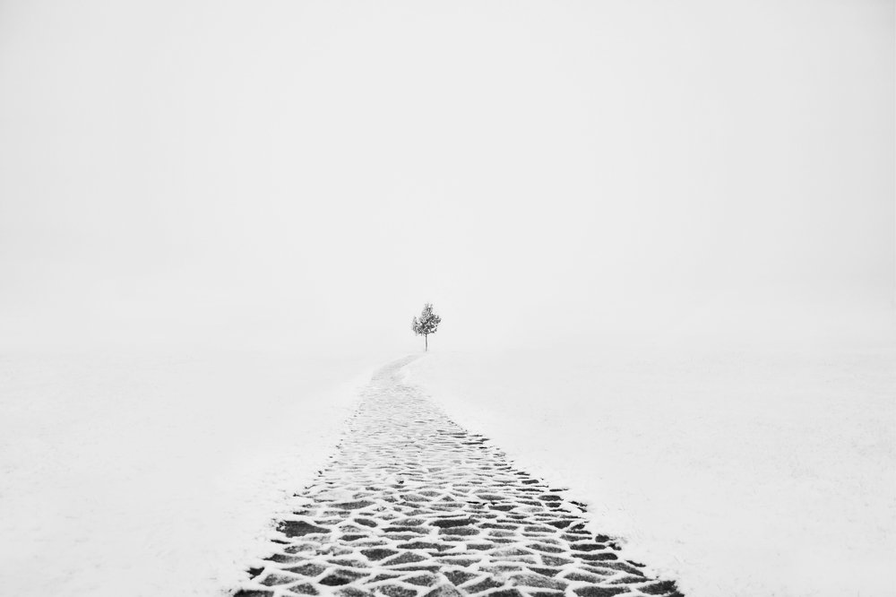 Photograph by Екатерина