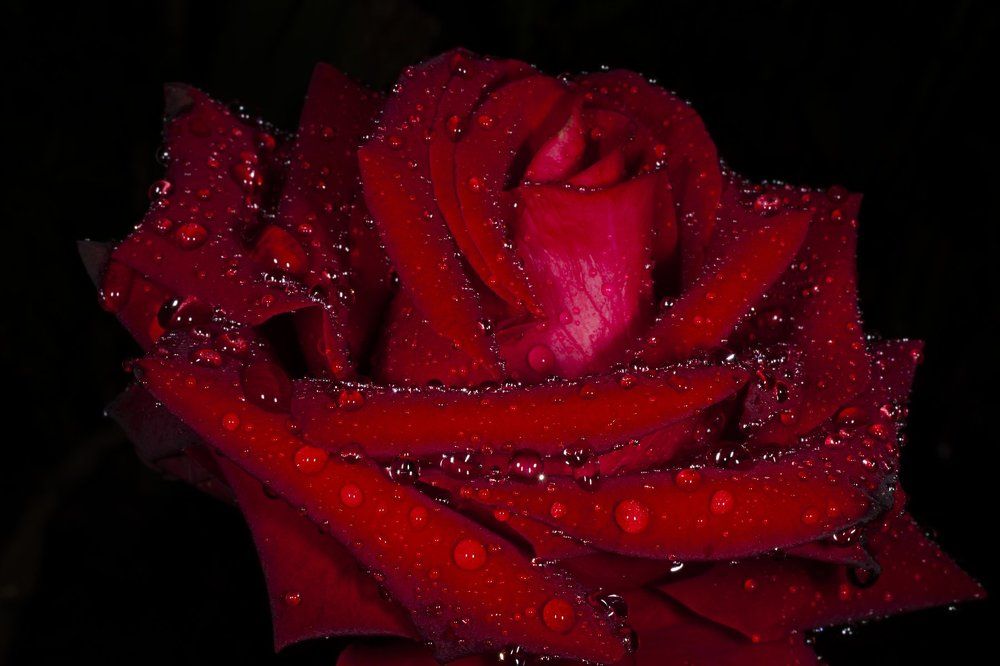 Разговор с дождем