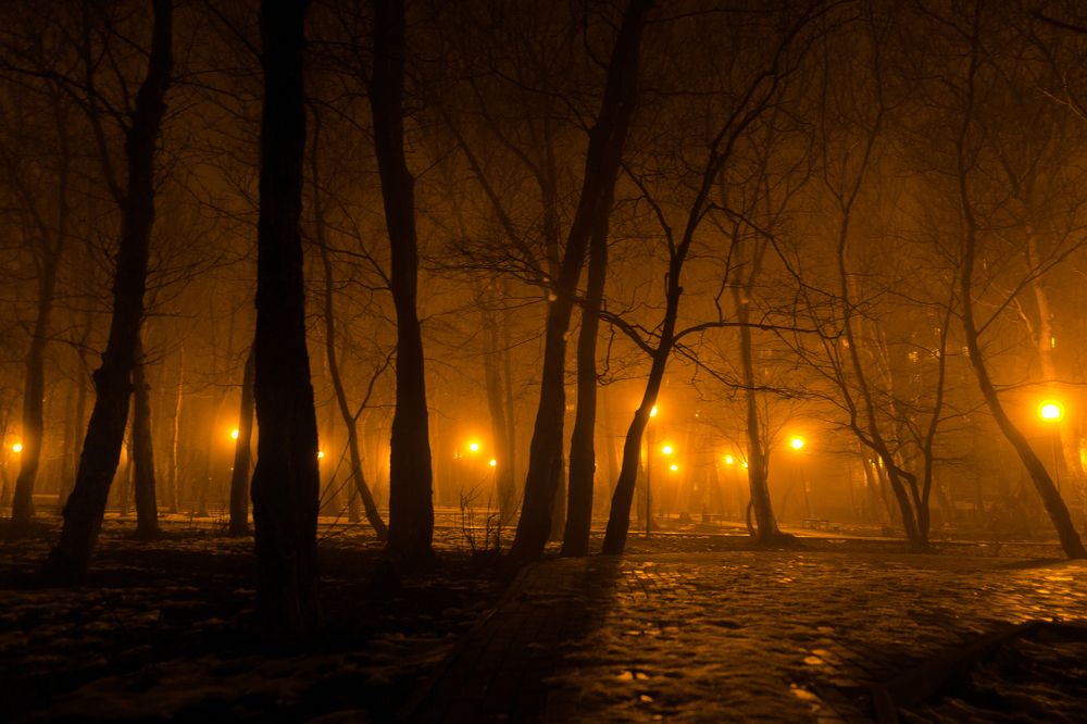 Ночной парк