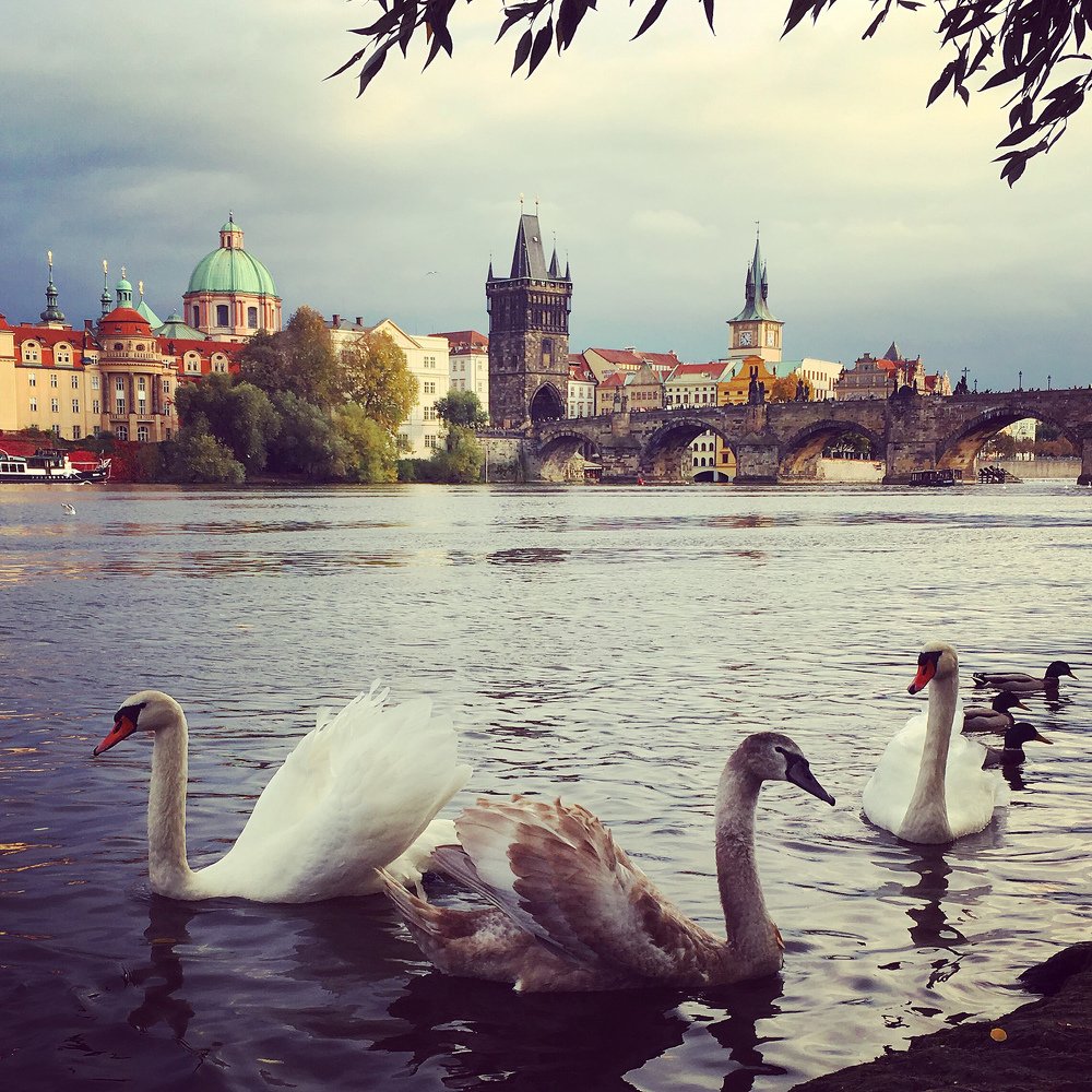 ..Пражский пейзаж..