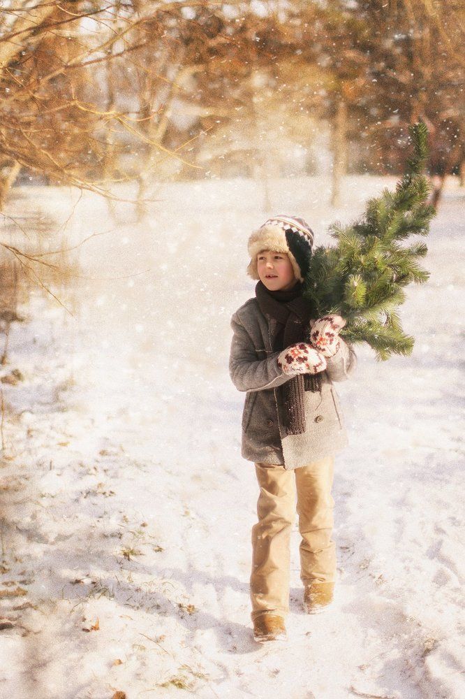 Морозным зимним утром...