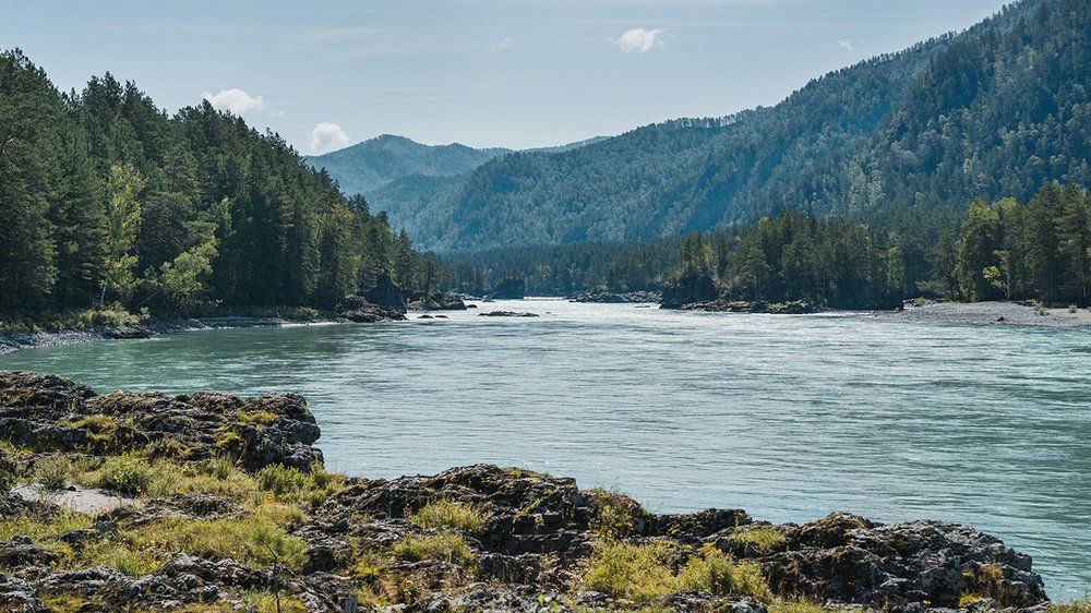 Алтай, р.Катунь