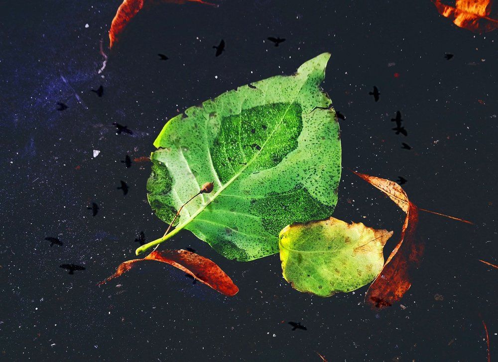 Фотография автора Владислава Андрюнина