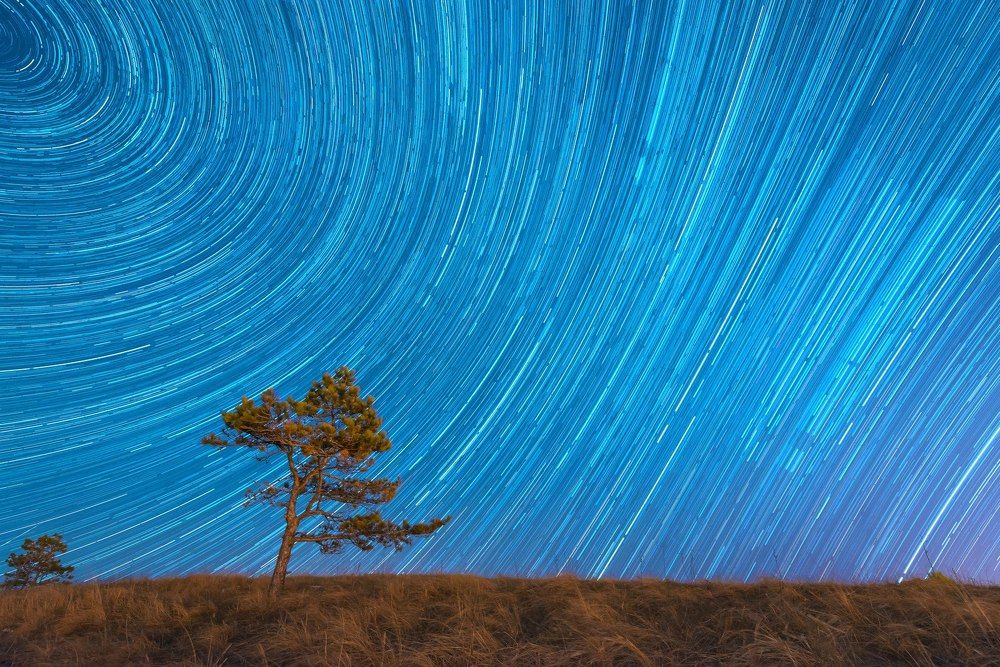 Звёздный трек