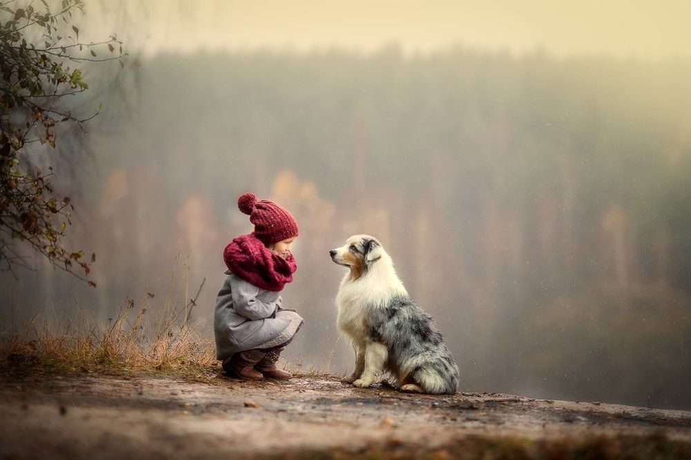 Photograph by Юлия Храпова