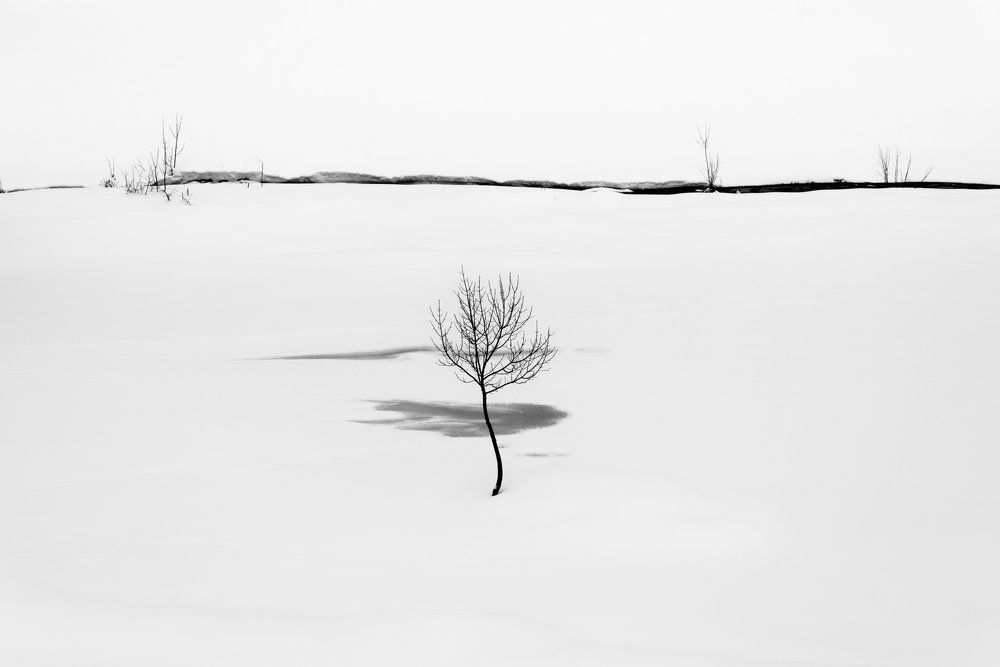 Первый снег