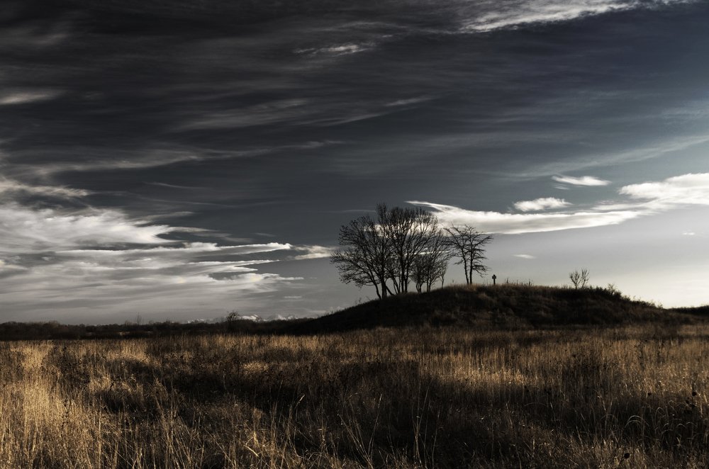 Курган в степи