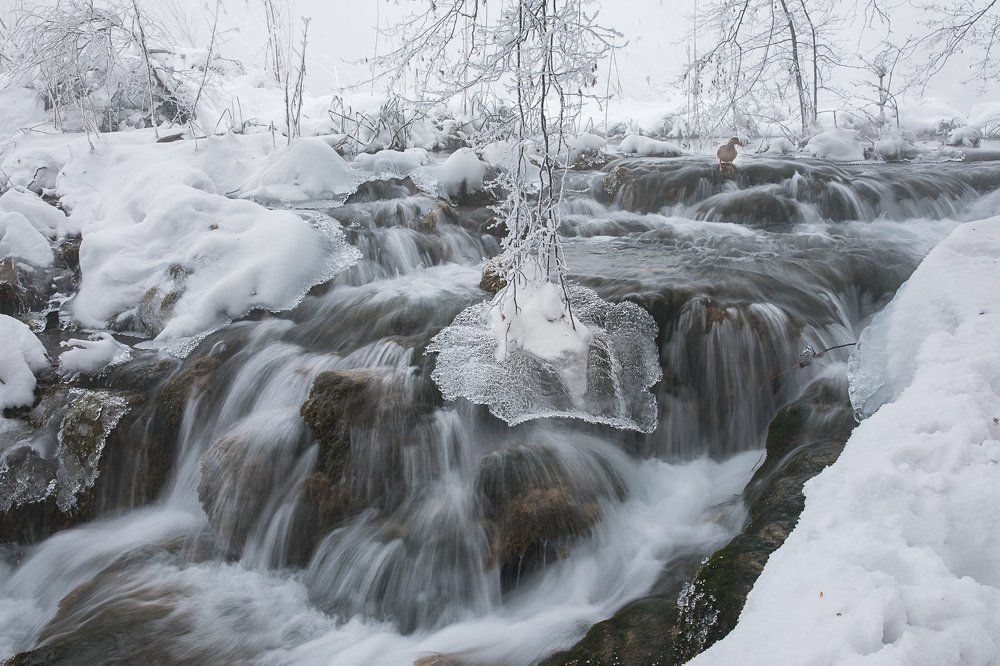 Осколок серебряного зеркала