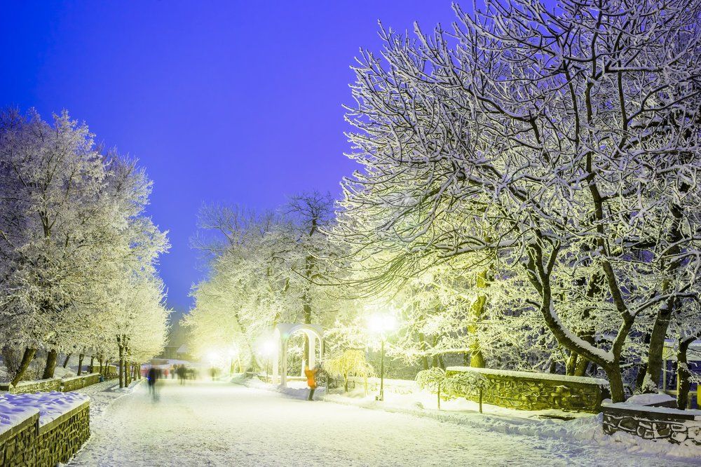 Россия. Железноводск. Главная аллея курортного парка в зимний вечер.