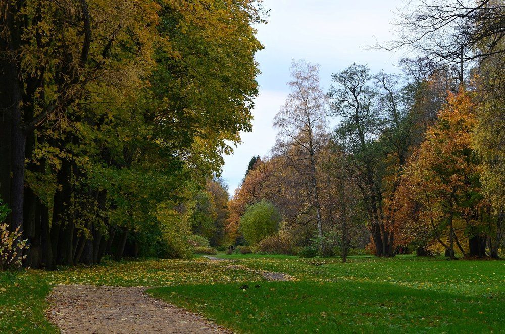 Крестовский остров