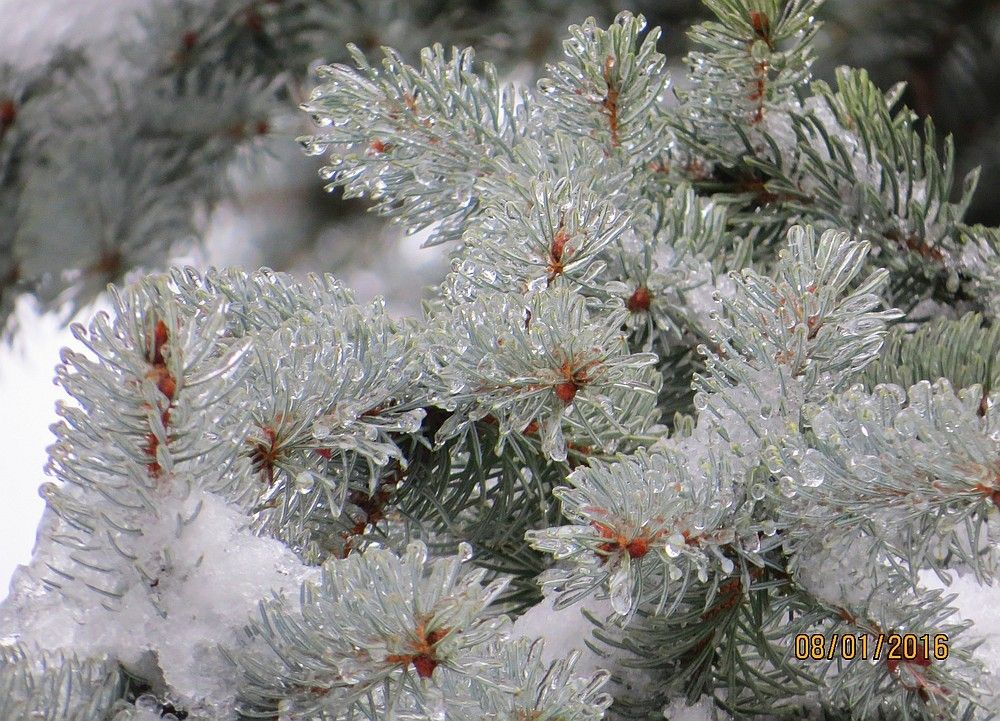 Ледяной мороз