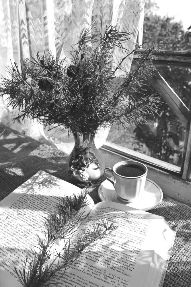 Приятные воспоминания