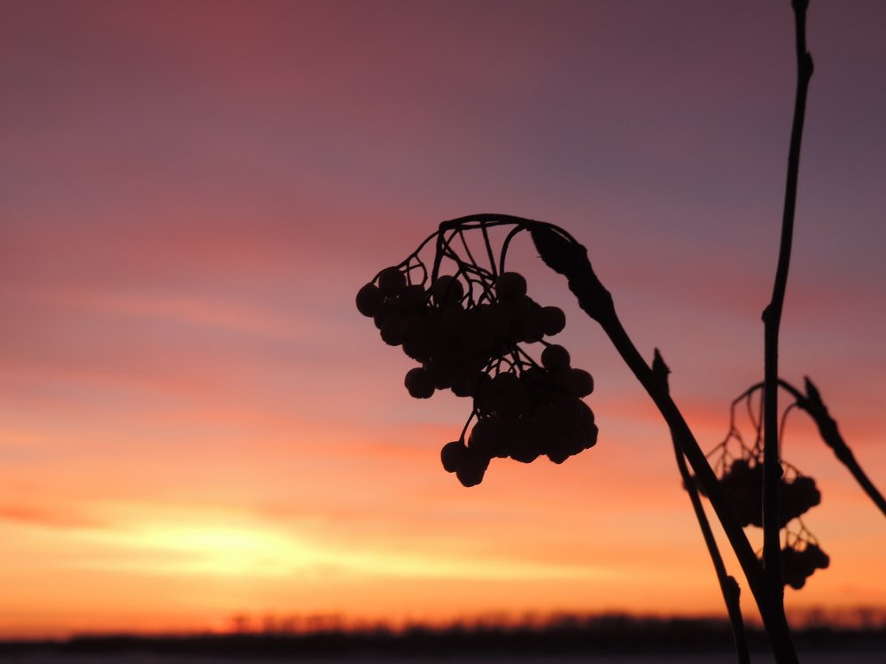 Photograph by Алексей