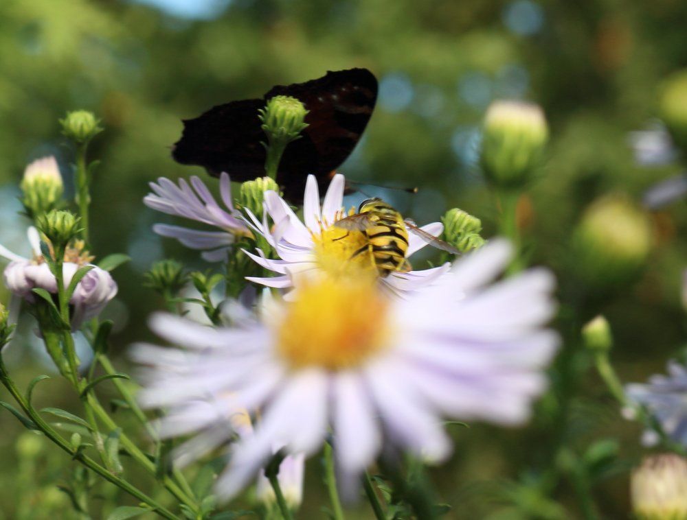 Photograph by Светлана