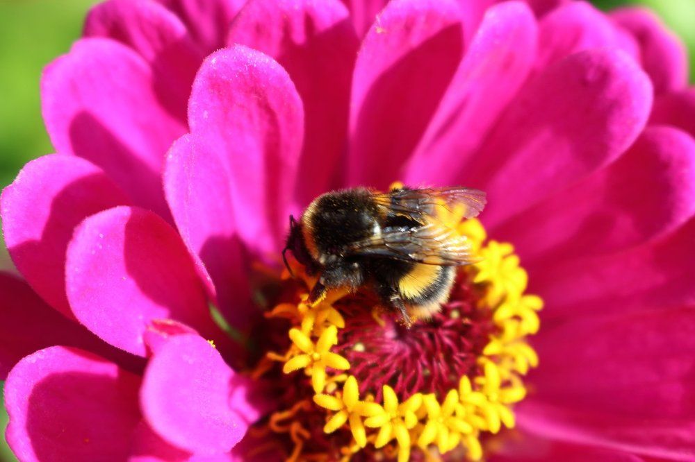 Photograph by Светлана