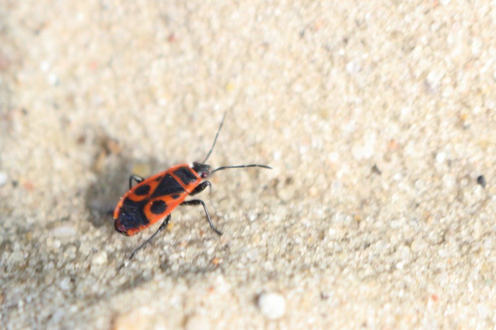 Photograph by Светлана