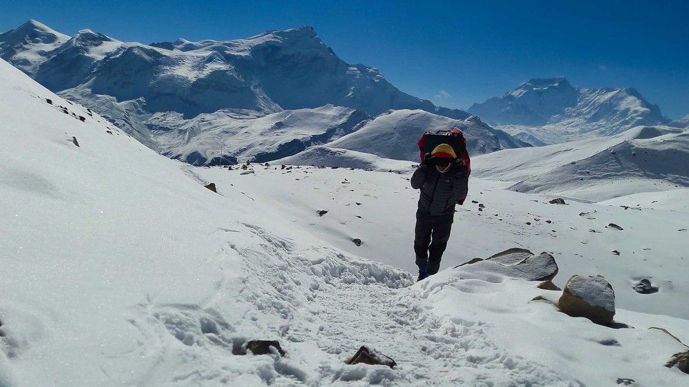 Porter of Himalayas