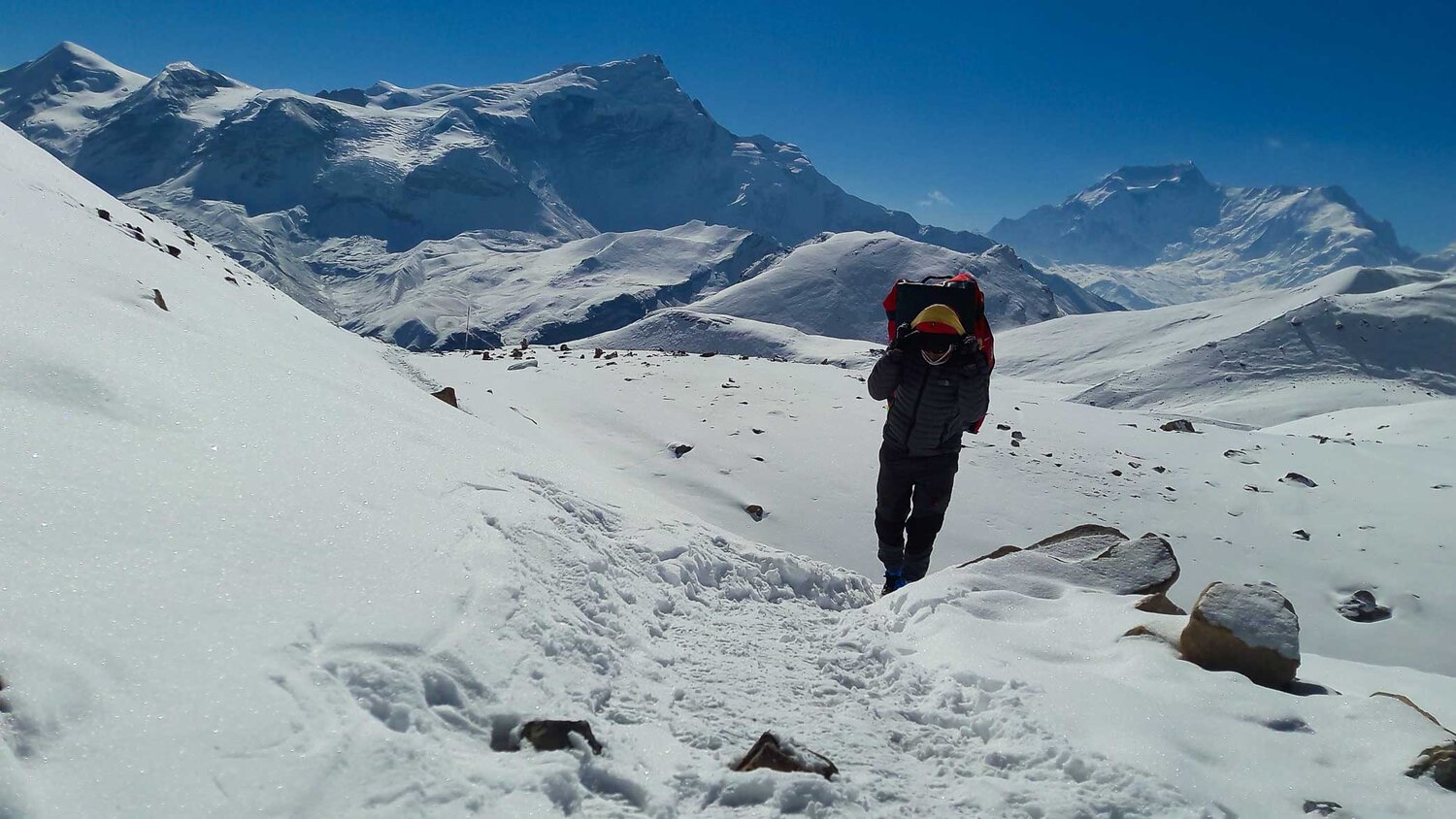 Porter of Himalayas