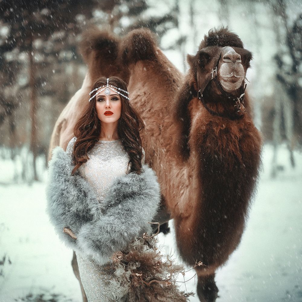 Восточная сказка