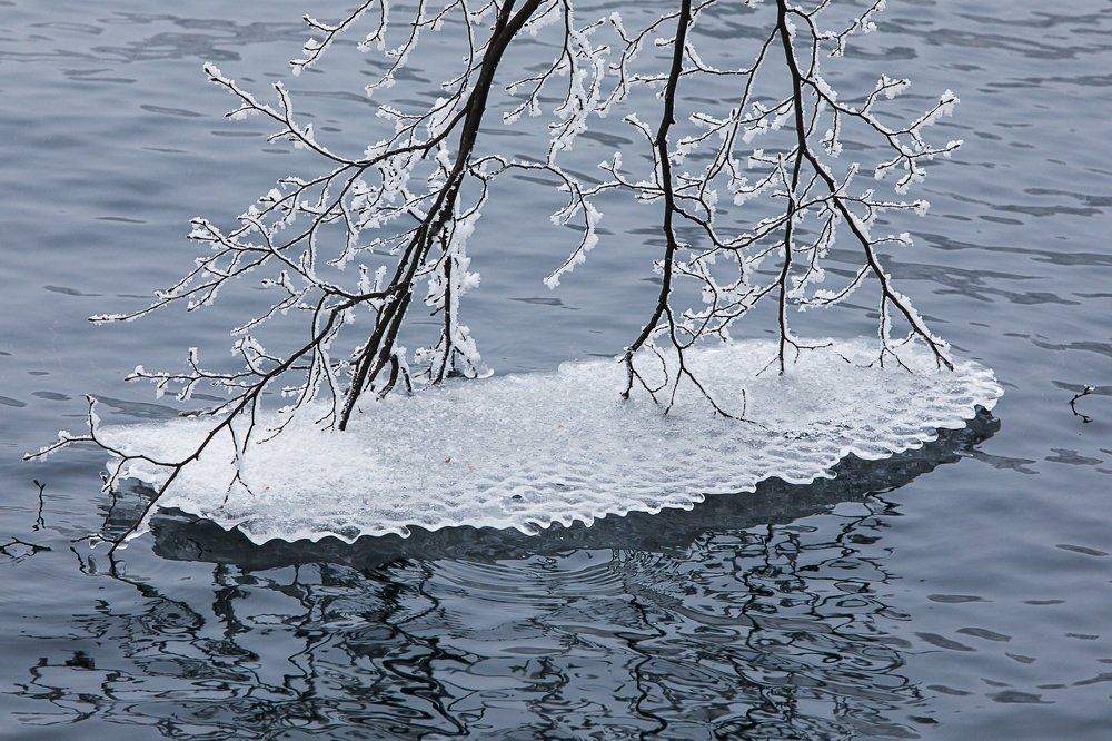 Зимний этюд