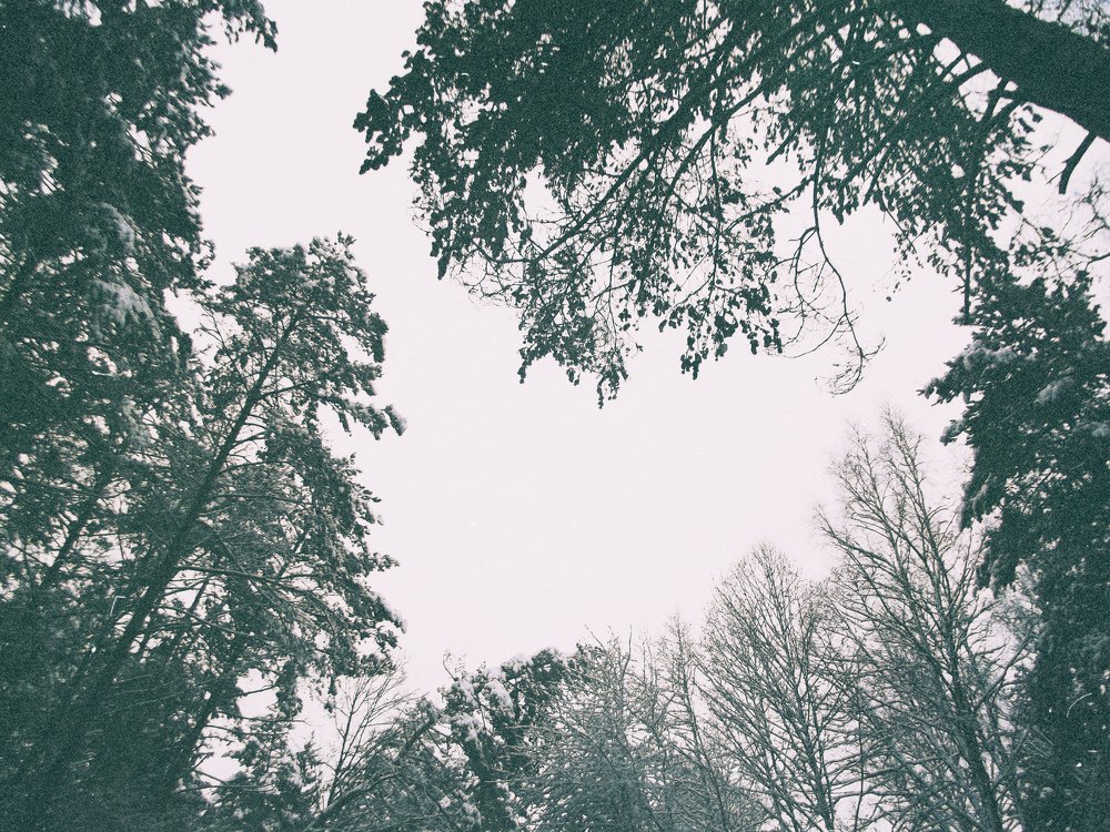 Photograph by Victoria Polivko