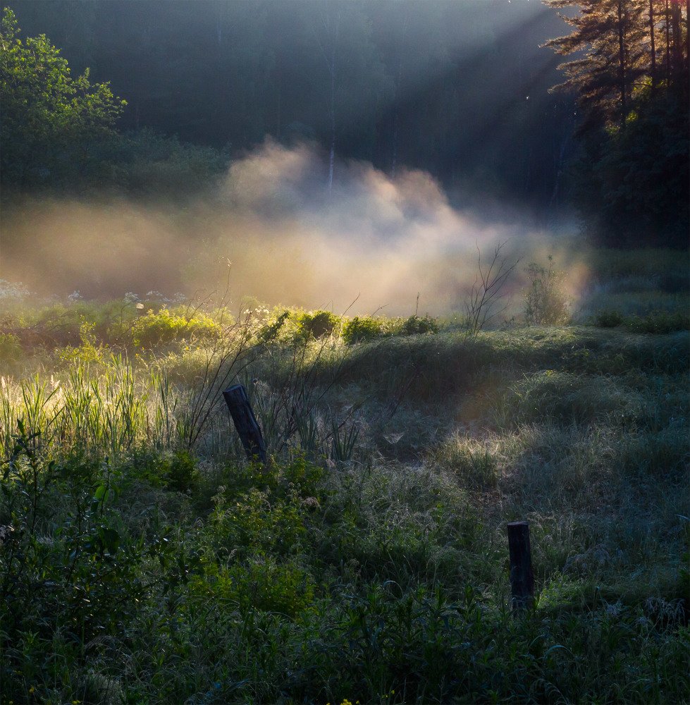 Photograph by Алексей Герасимов