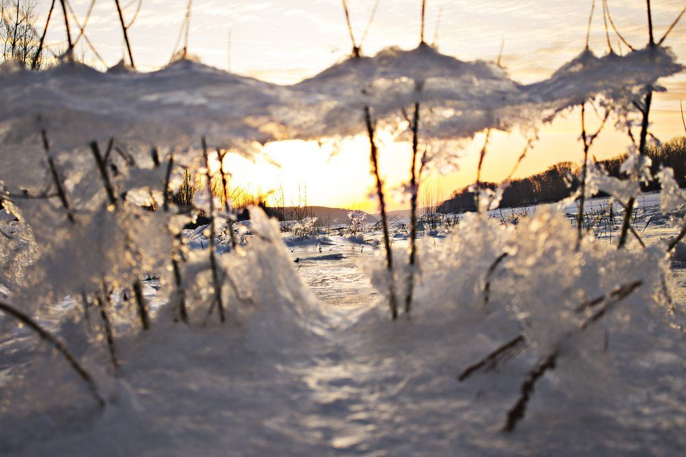 серебряный свет