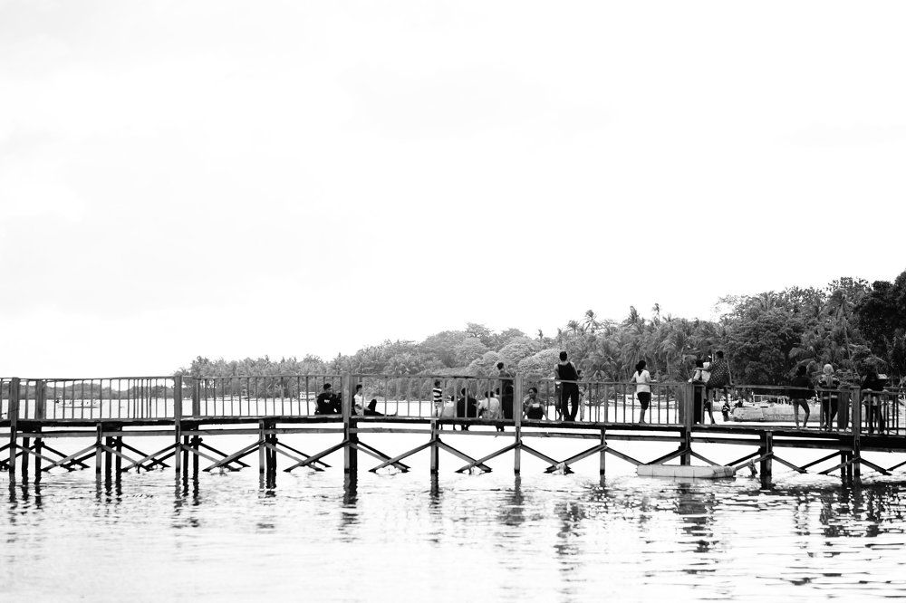 The bridge