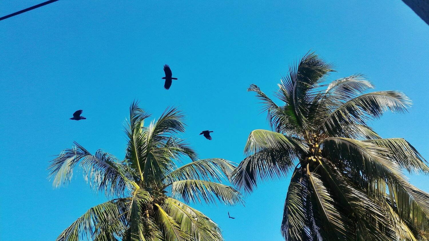Sunny sky is smiling