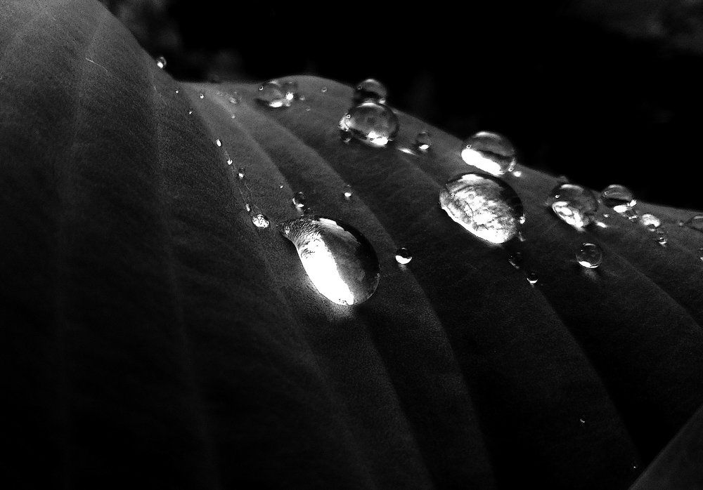 Фотография автора Владислава Андрюнина