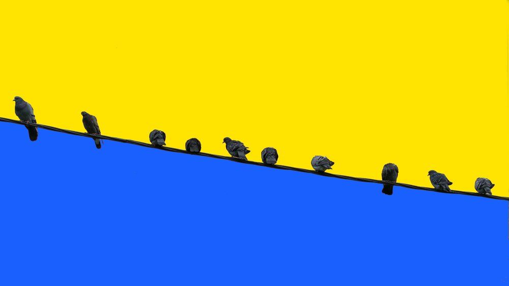 Photograph by Роман Алябьев