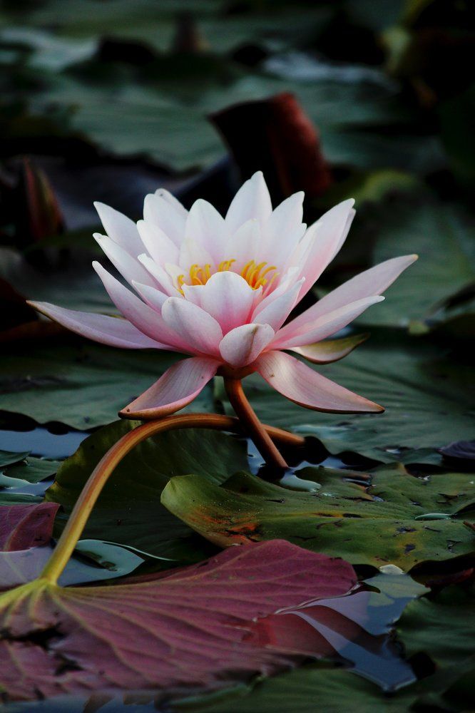 Фотография автора Владислава Андрюнина