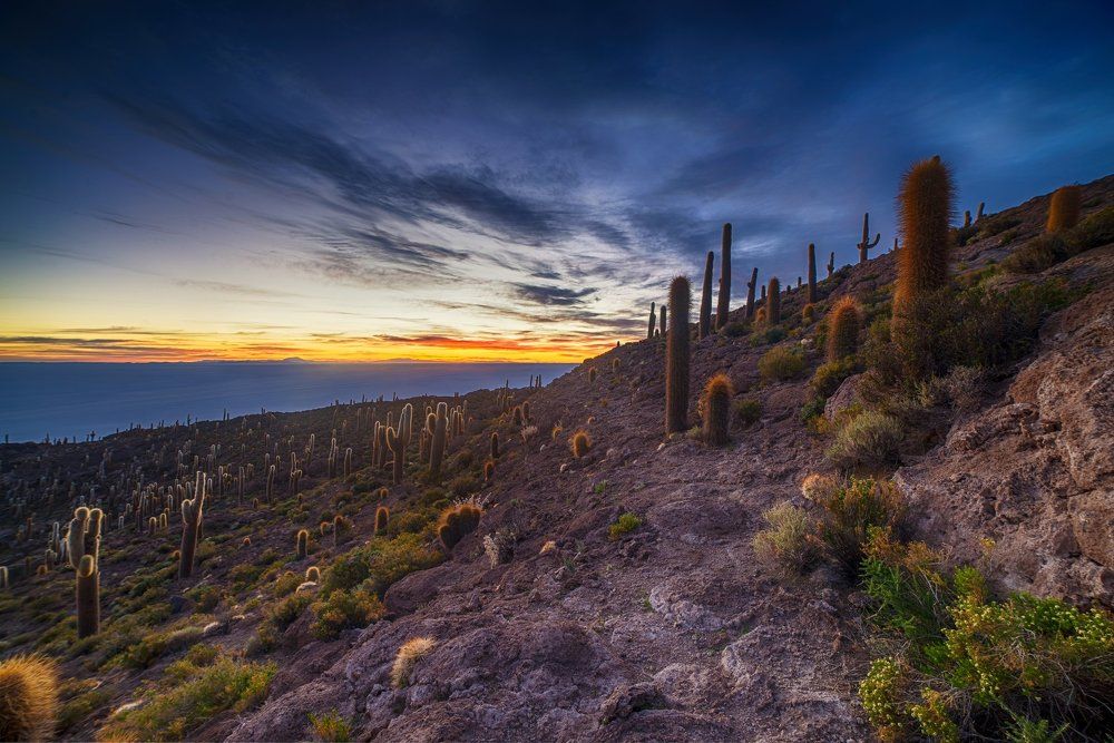 Рассвет на Уюни